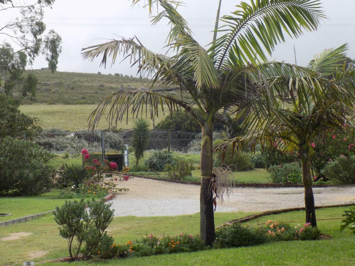 Haka Hana B&B พอร์ตเอลิซาเบธ ภายนอก รูปภาพ